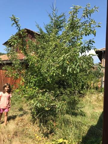 Фото номера Дом для отпуска Дома для отпуска Das Landhaus г. Бачево 87